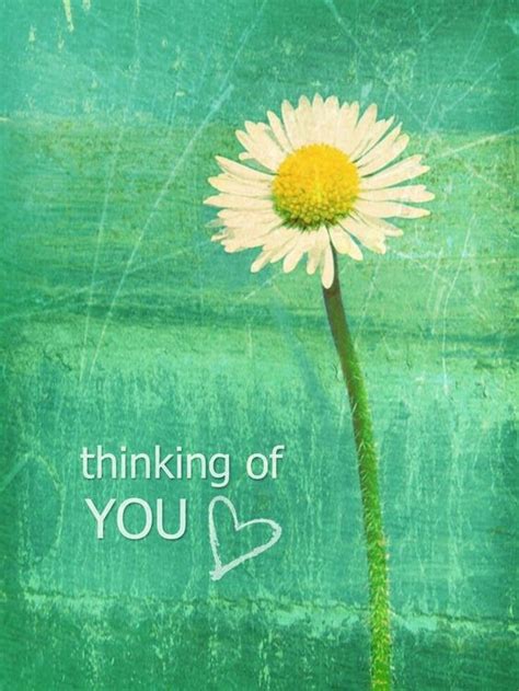 Thinking of You -- Daisy :: Thinking Of You :: MyNiceProfile.com