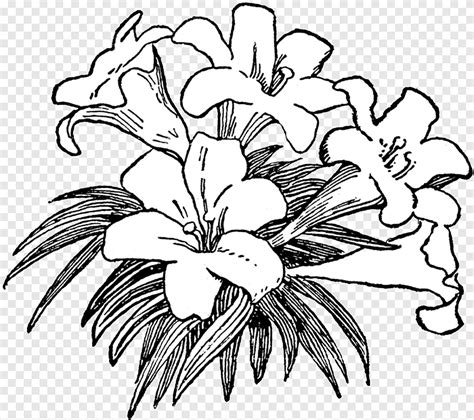 Fleur Noir et blanc, dessin fleur, blanc, monochrome png | PNGEgg