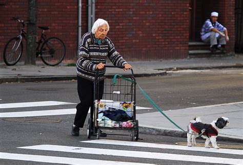 old lady with dog - a photo on Flickriver