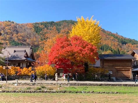 Shirakawa-go (Historic Village) | Places in Japan