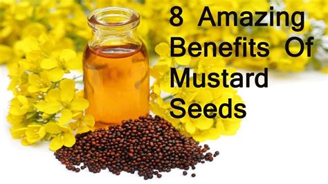 8 Amazing Benefits Of Mustard Seeds: More Than Just a Condiment? - YouTube