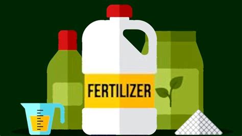 What Are The Three Main Types Of Fertilizers?