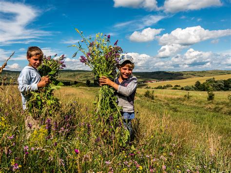 14 Aspects Of Rural Life In Romania That Will Fascinate You | Bored Panda