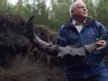 Video: Hundreds of prehistoric bones discovered in Boneyard Alaska ...