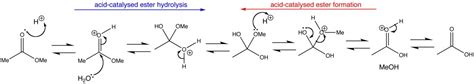 Reaction with H2SO4 and H2O - Organic Chemistry - Science Forums