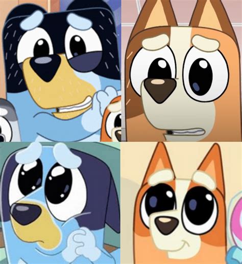 bluey bandit chilli and bingo cute/please face by cartoonyiscool on DeviantArt