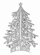 Free Printable Christmas Tree Coloring Pages For Adults  The Cake Boutique sketch template