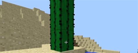 How To Make Cactus Green Dye: Minecraft Recipe