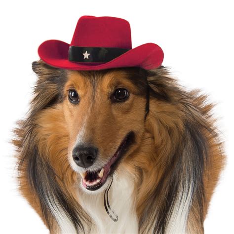 Dog Cowboy Hat Pet Costume Accessory Red - Medium/Large - Walmart.com