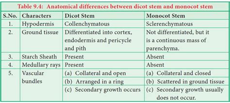 Anatomical differences between dicot stem and monocot stem