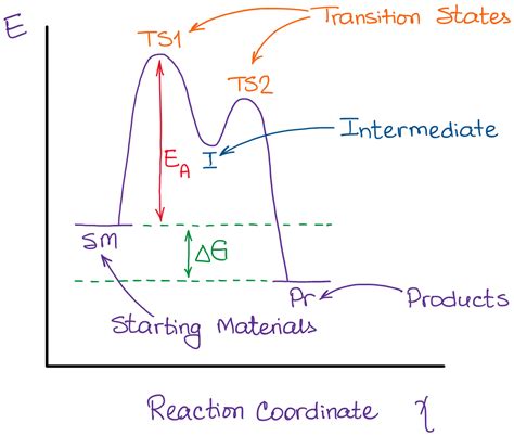 [DIAGRAM] Trypsin Reaction Diagram - MYDIAGRAM.ONLINE