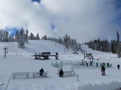 Badger Pass Ski Area (Yosemite National Park): UPDATED 2020 All You ...