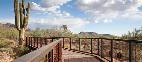 Hiking in Scottsdale: 7 Great Trails | Experience Scottsdale | Best ...