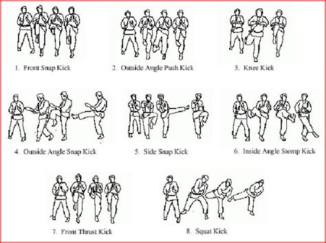 Basic Karate Moves | Isshinryu karate, Karate, Karate moves