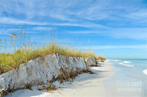 Beautiful Florida Coastline Photograph by Mark Winfrey | Pixels