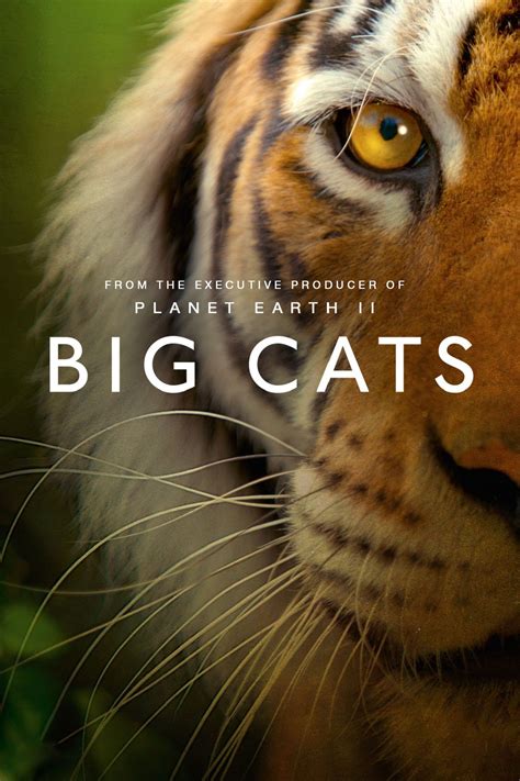 Big Cats (2018)