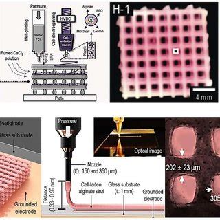 Advantages and disadvantages of basic 3D cell printing techniques ...