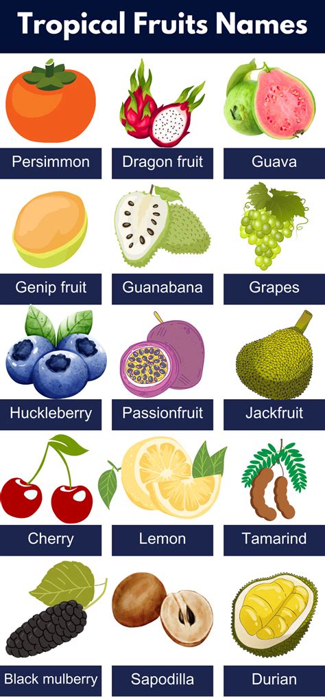 List of All Tropical Fruits Name, Pictures, PDF - GrammarVocab