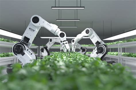 Vertical farming will lead a new agritech revolution - Verdict