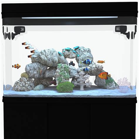 3d model marine aquarium