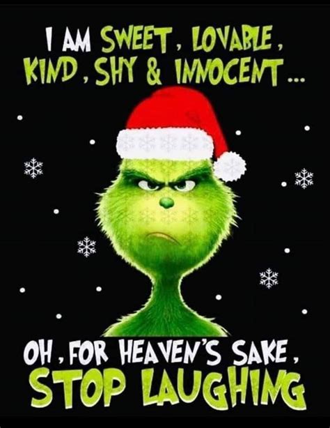 Pin by Judy Aurora Angel Morales on Christmas | Christmas quotes funny, Christmas quotes grinch ...