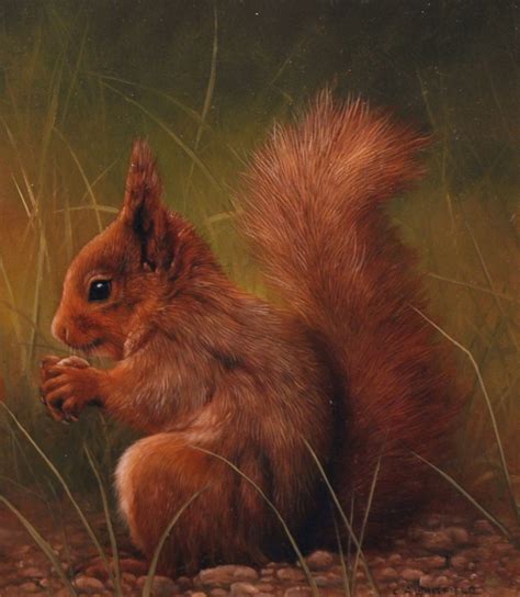 Red Squirrel - Sutcliffe Contemporary Art