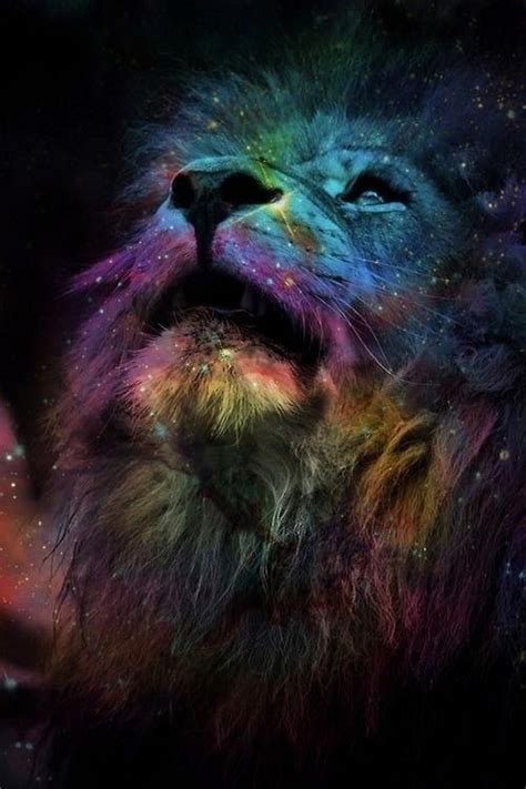 Colorful Lion Wallpaper - WallpaperSafari