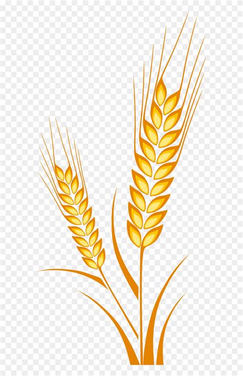 Picture Freeuse Download Cereal Drawing Plant - Wheat Drawing Clipart (#154378) - PinClipart