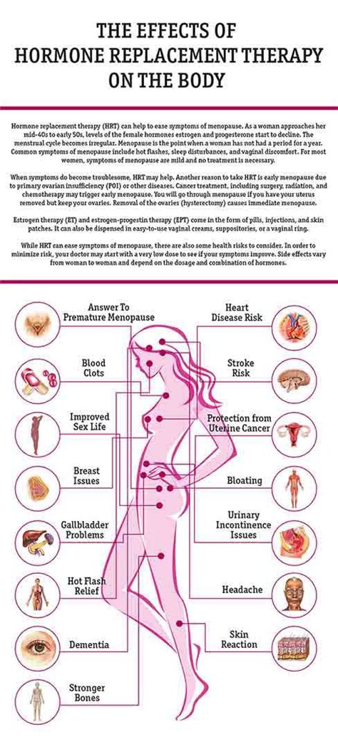 Hormone Replacement Therapy Definition - Human Body Anatomy