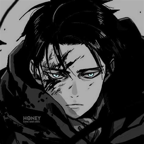 Levi ackerman | Attack on titan, Profile picture, Levi ackerman