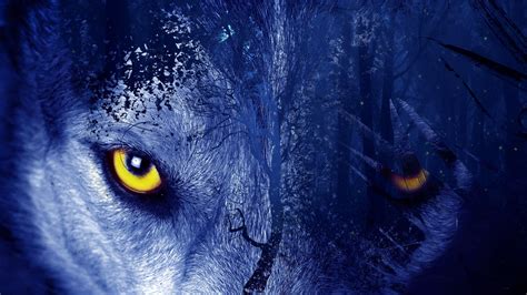 Wolf Eyes Wallpapers - Wallpaper Cave