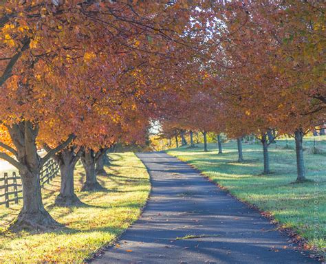 Spring Creek Farm: A Q&A With Transitioning Farmers - Rodale Institute