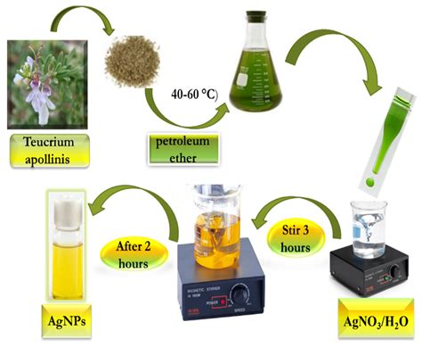 Chemistry | Free Full-Text | Biofabrication of Silver Nanoparticles Using Teucrium Apollinis ...