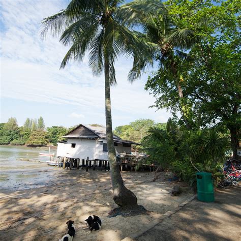 Pulau Ubin, Singapore – Island Review | Condé Nast Traveler