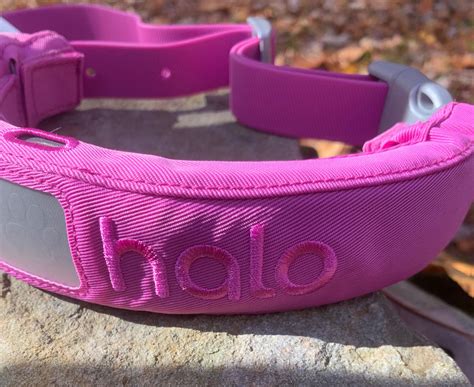 Halo Collar 3 GPS Dog Collar Review: (Based on Personal Experience)