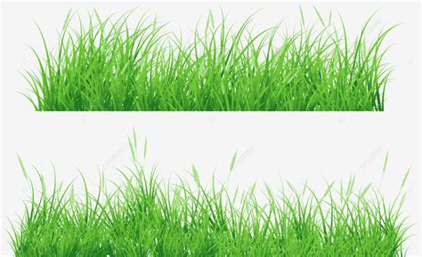 Grass Clipart Vector, Grass Background, Green Grass, Grass PNG and ...