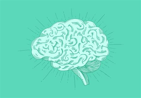 Bright Hand Drawn Brain Vector - Download Free Vector Art, Stock ...