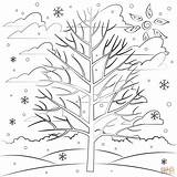 Winter Tree coloring Page  Free Printable Coloring Pages sketch template