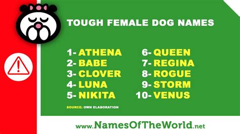 10 tough female dogs names