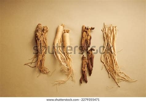 Ginseng Types Stock Photos and Pictures - 163 Images | Shutterstock