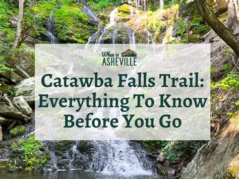 Catawba Falls Trail: Your Updated Guide (2024) - When In Asheville