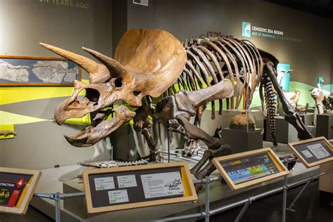 What It's Like to Visit the Buffalo Museum of Science - Uncovering New York