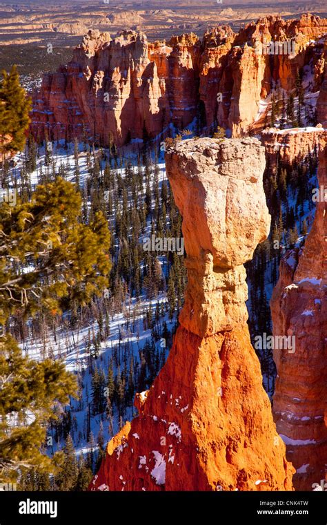 Rock formation - Hoodoo, in Aqua Canyon, Bryce Canyon National Park, Utah USA Stock Photo - Alamy