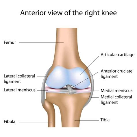 What Is An MCL Tear? – Howard J. Luks, MD