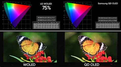 Сравнение QD-OLED и WOLED. Первые измерения