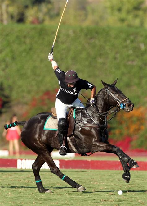 What a capture! | Horses, Polo horse, Equestrian