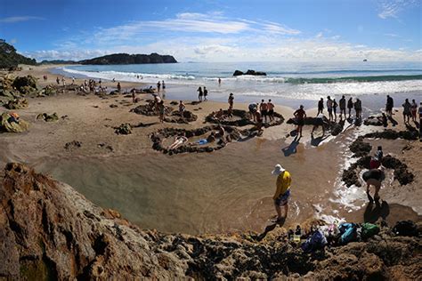 Coromandel, Cathedral Cove and Hot Water Beach Full Day Trip from Auckland - Auckland Scenic Tours