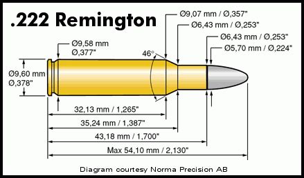 Sources for Premium .222 Remington Brass « Daily Bulletin