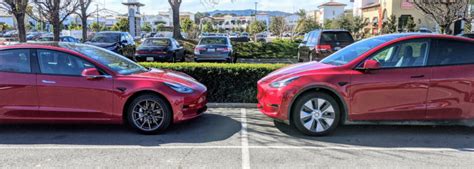 Tesla Model Y vs. Tesla Model 3 — Head-To-Head Photo Shows Their Size ...