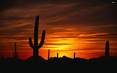 Arizona Desert Sunset Wallpapers - Top Free Arizona Desert Sunset Backgrounds - WallpaperAccess